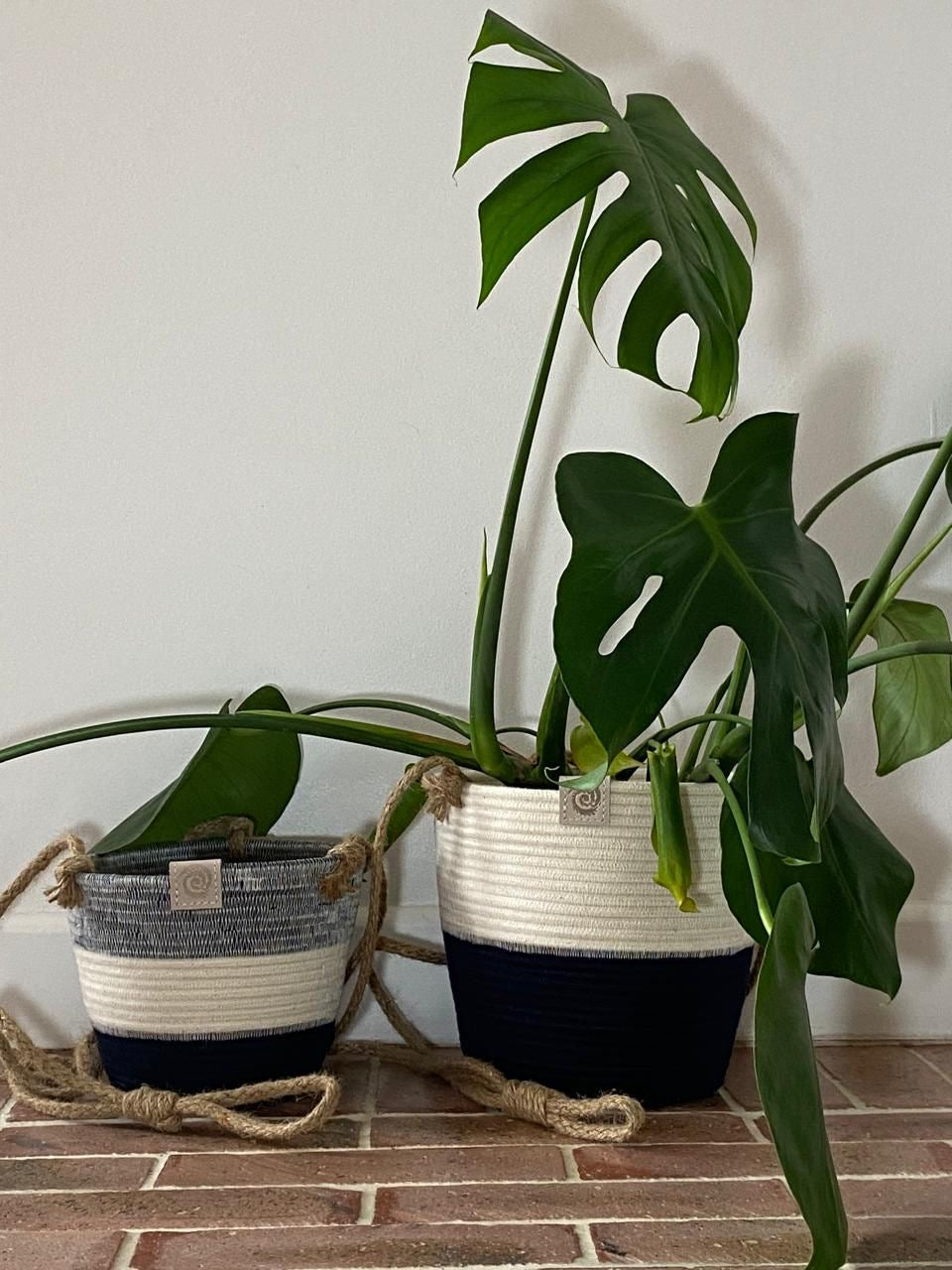 Planters
